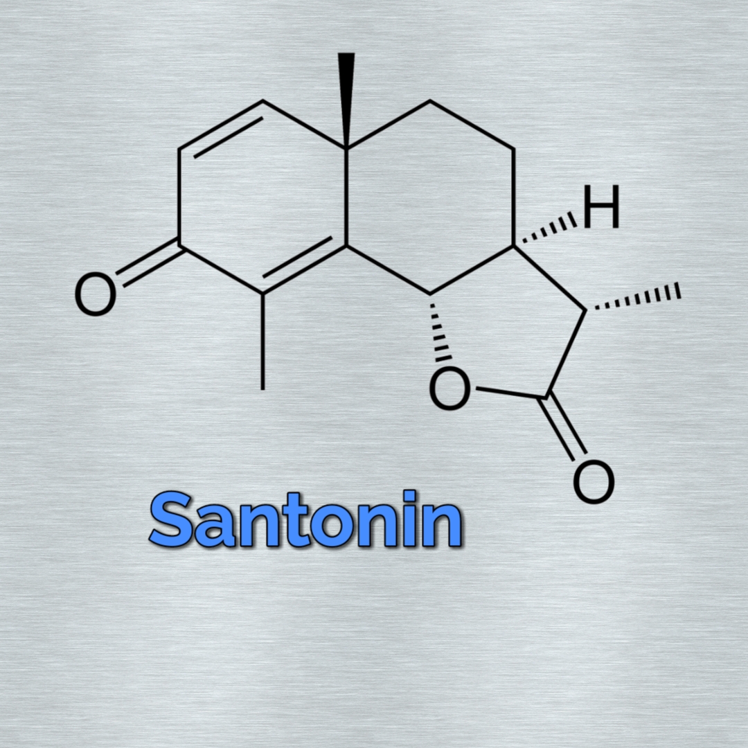Santonin Source,uses and Structure